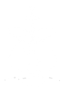 (c) Shisha-test.de